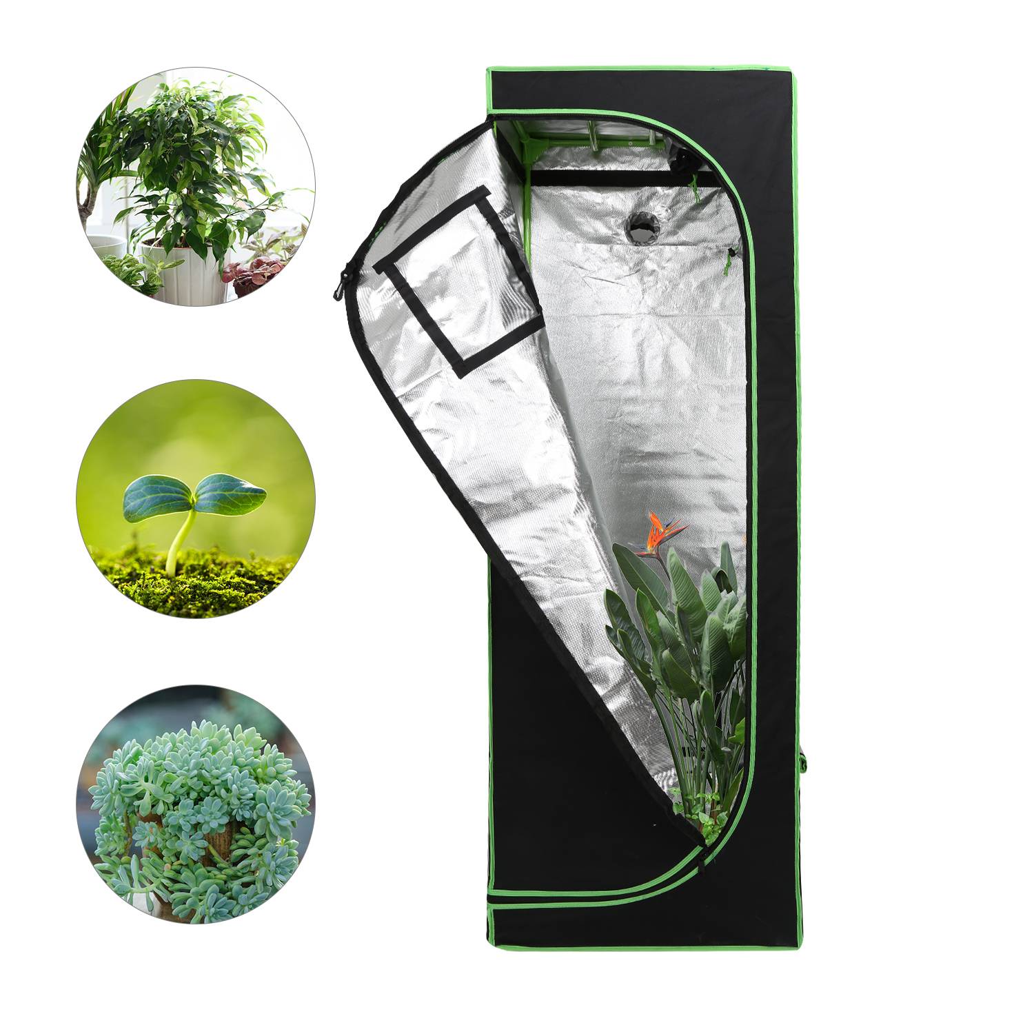 Grow Zelt für Pflanzen Zuchtzelt Gewächshaus Box Garten Anzucht Gemüse Kräuter Grow Schrank Indoor 60x60x180 cm
