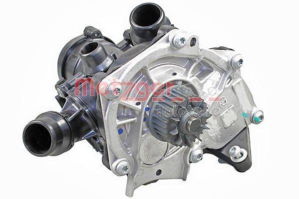 Metzger 4007031 Wasserpumpe, Motorkühlung
