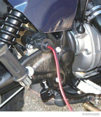 Herth+Buss 51305635 Stecker