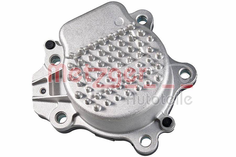Metzger 4007049 Wasserpumpe, Motorkühlung