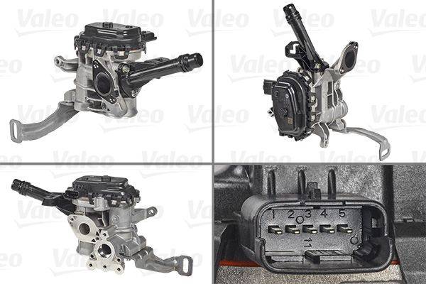 Valeo 700455 AGR-Ventil