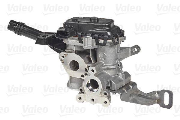 Valeo 700455 AGR-Ventil