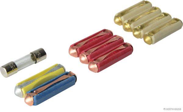 Herth+Buss 50296110066 Sicherungssatz