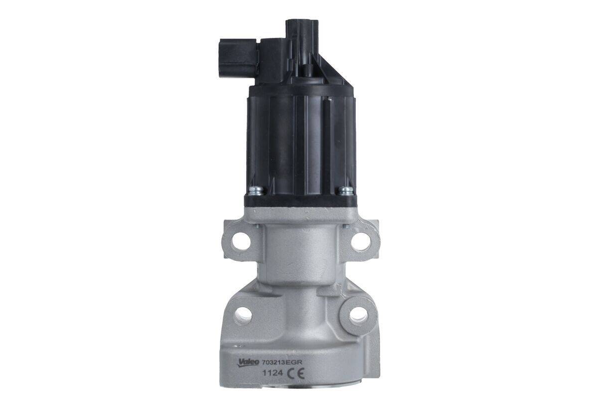 Valeo 703213 AGR-Ventil