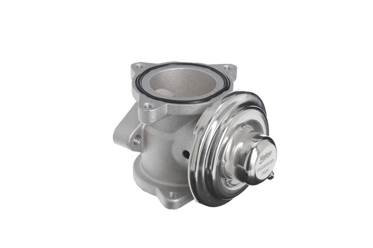 Valeo 703260 AGR-Ventil