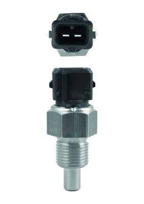 Mahle TSE16 Sensor, Kühlmitteltemperatur