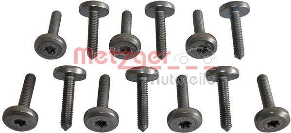 Metzger 8029025 Schraubensatz, Ölwanne-Automatikgetriebe