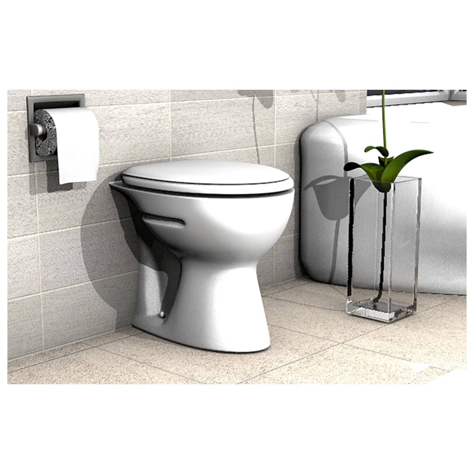 Ein modernes Badezimmer mit einer Toilette neben einem Toilettenpapierhalter, mit einer dekorativen Pflanze in einer Glasvase auf dem Boden.
