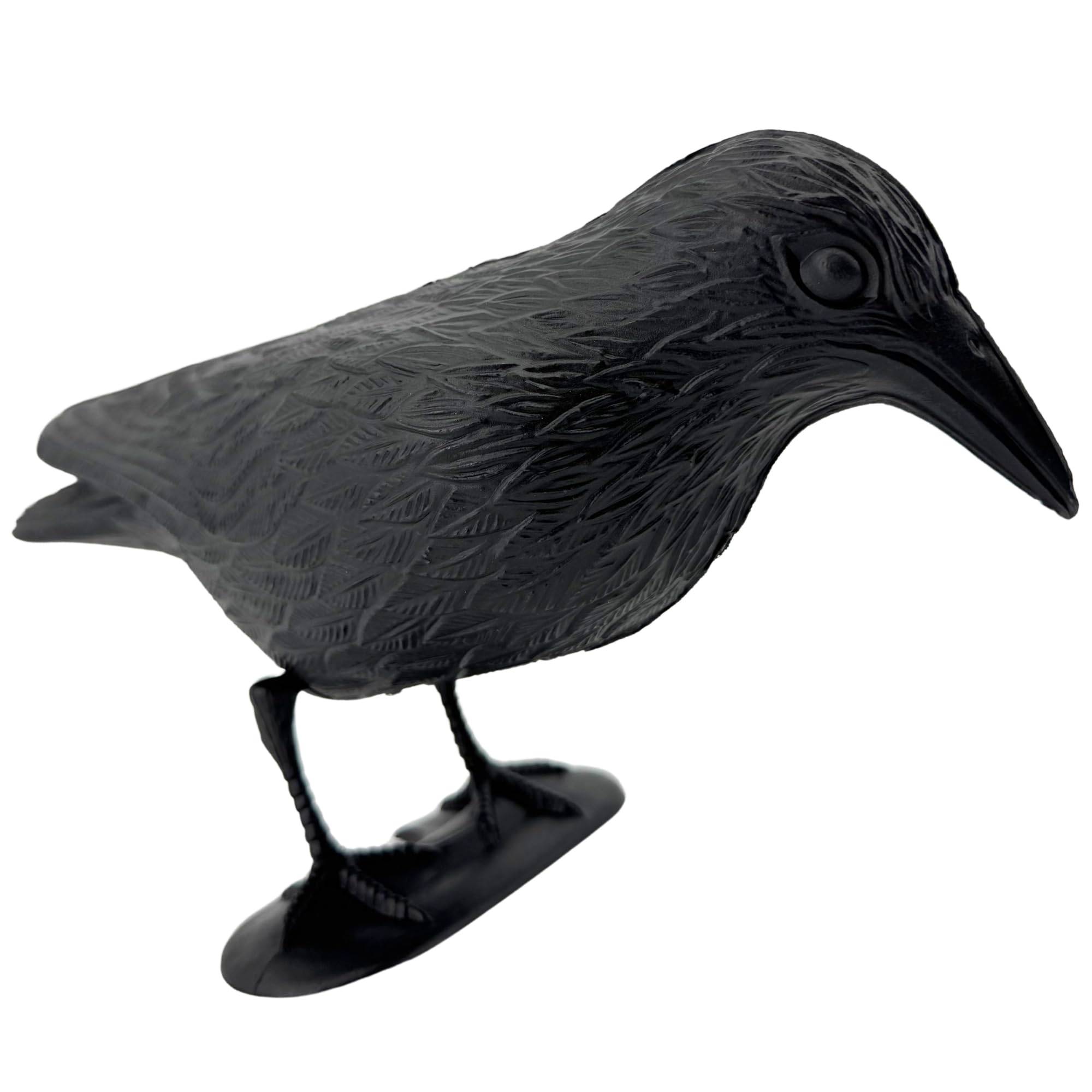 Taubenabwehr und Taubenschreck aus Kunststoff Vogelabwehr natürliche Schädlingsbekämpfung Schutz vor lästigen Vögeln Raabe Schwarz (Rabe schwarz,