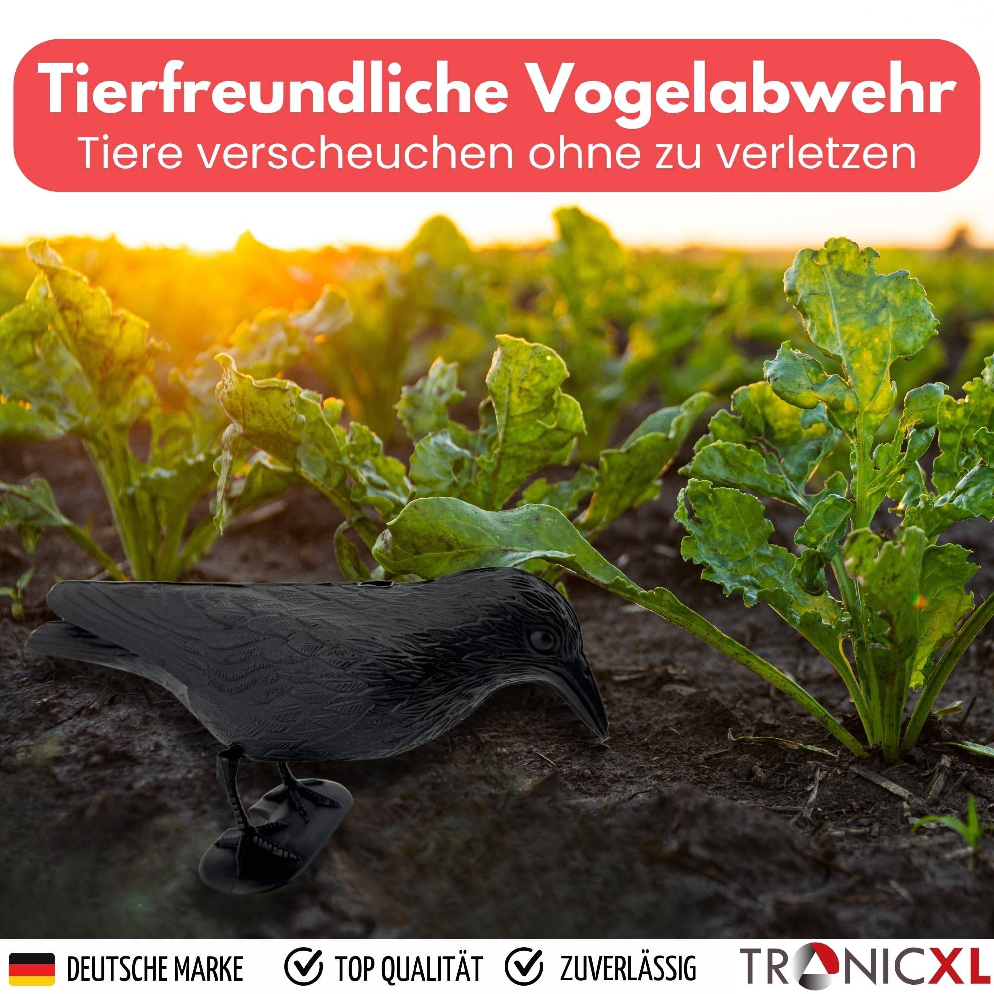 Taubenabwehr und Taubenschreck aus Kunststoff Vogelabwehr natürliche Schädlingsbekämpfung Schutz vor lästigen Vögeln Raabe Schwarz (Rabe schwarz,
