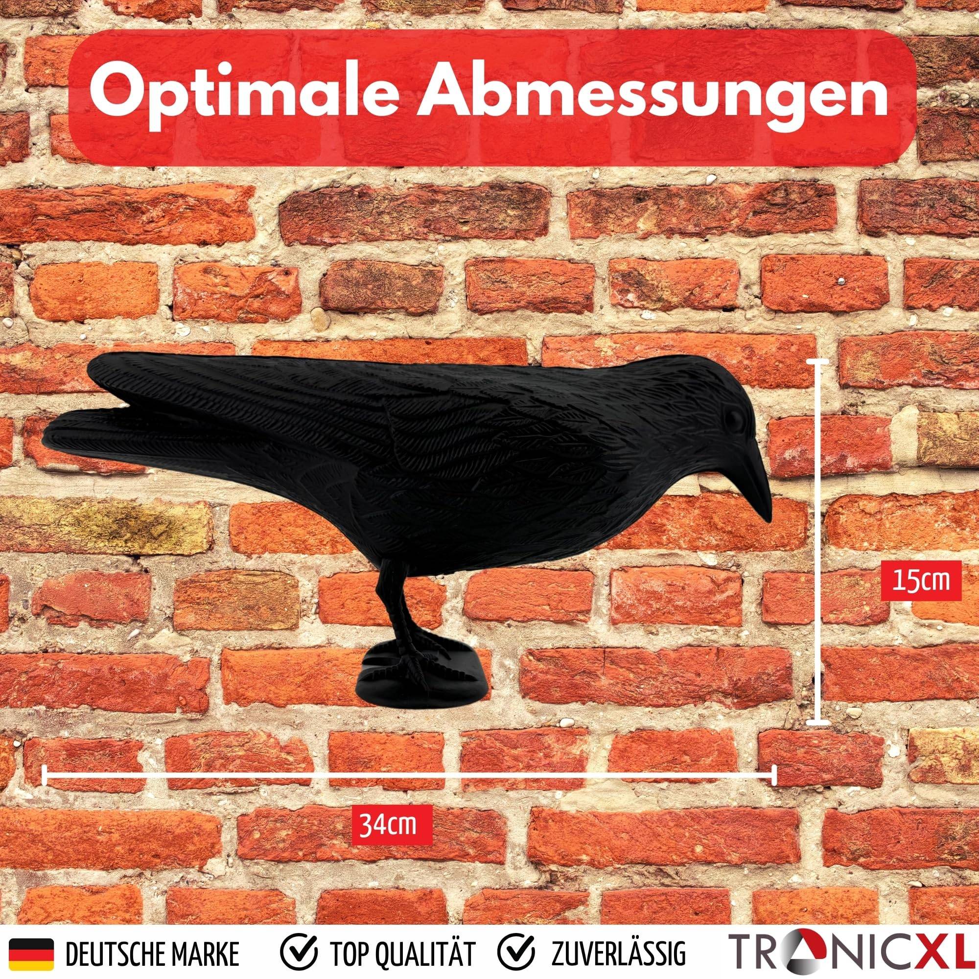 Taubenabwehr und Taubenschreck aus Kunststoff Vogelabwehr natürliche Schädlingsbekämpfung Schutz vor lästigen Vögeln Raabe Schwarz (Rabe schwarz,