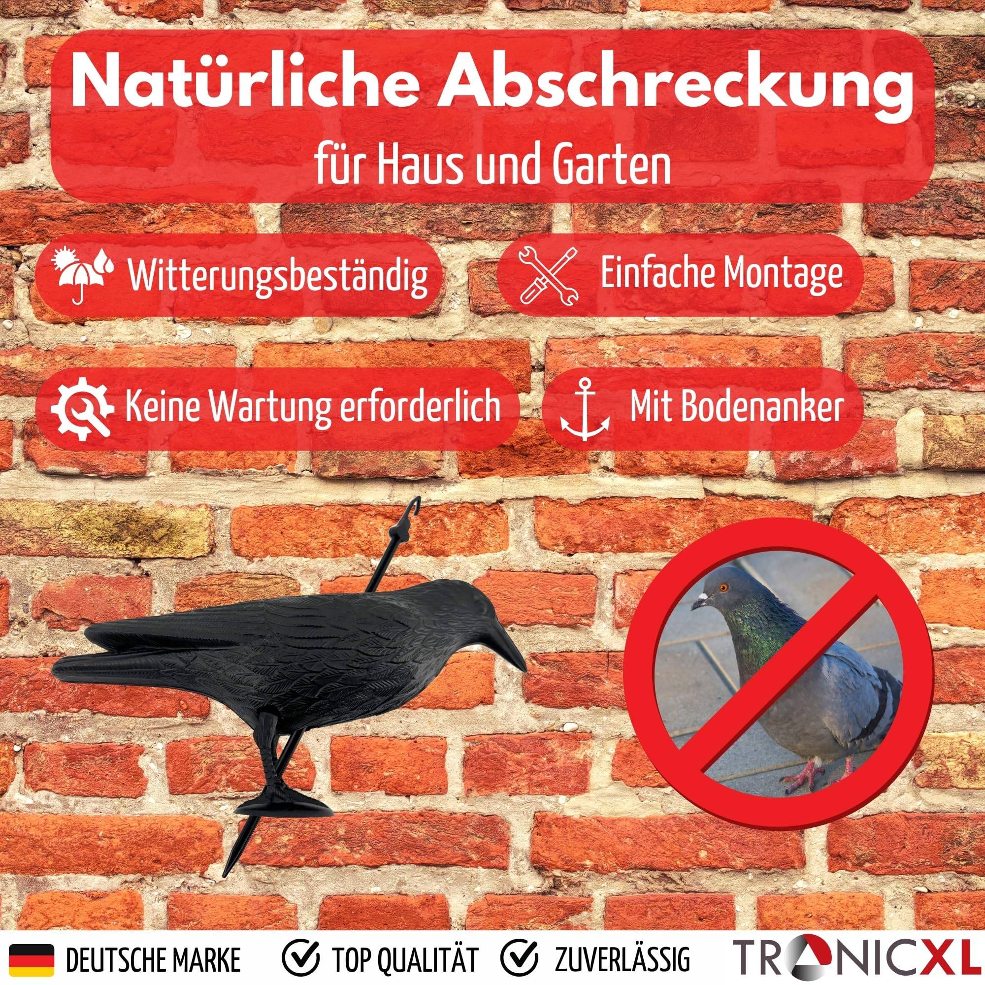 Taubenabwehr und Taubenschreck aus Kunststoff Vogelabwehr natürliche Schädlingsbekämpfung Schutz vor lästigen Vögeln Raabe Schwarz (Rabe schwarz,