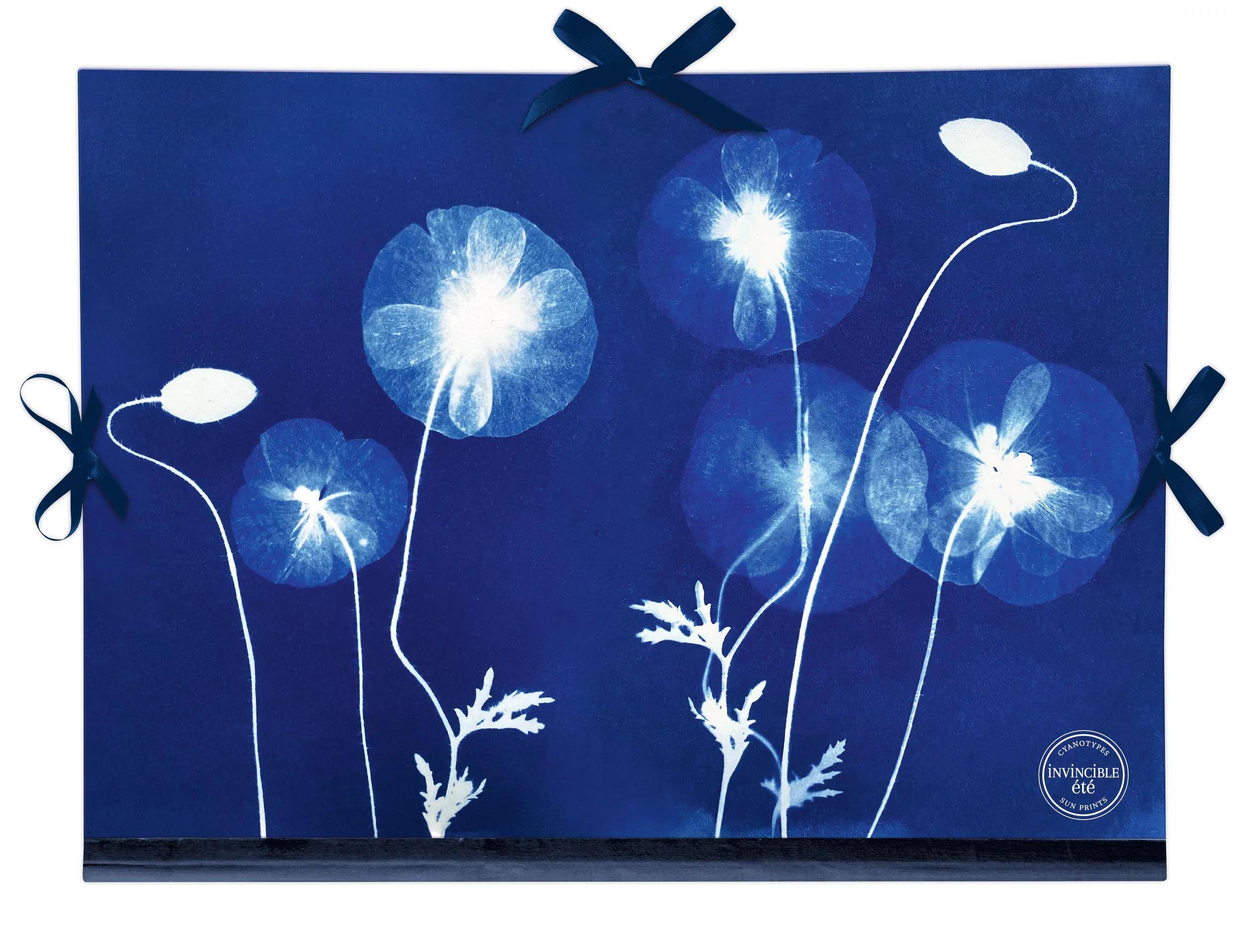 Clairefontaine 5x Cyanotypie, Zeichenmappe 28x38cm, Verschluss 3 Bändern 83513C