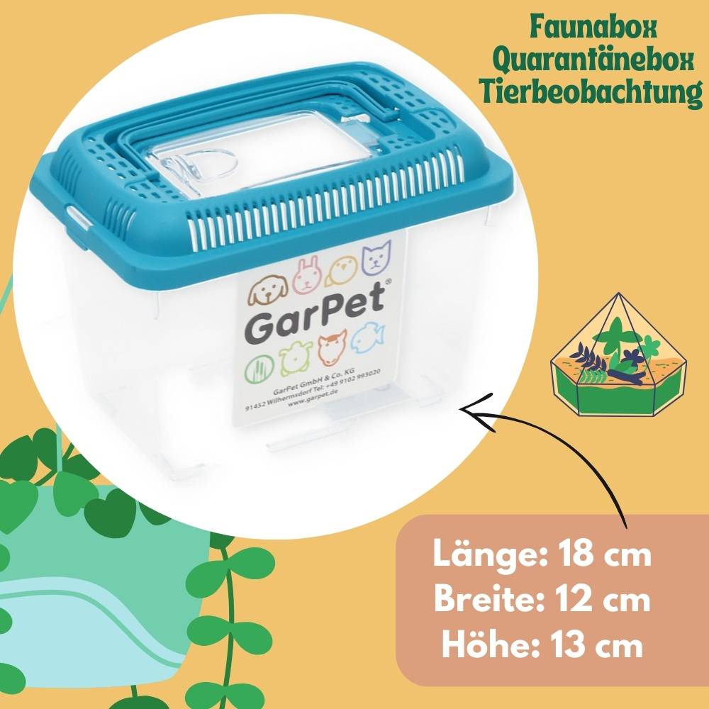 2x Faunabox S Faunarium Transport Quarantäne Box Tierbeobachtung Urzeitkrebse Triops Heimchen Spinnen Insekten Box Kunststoff