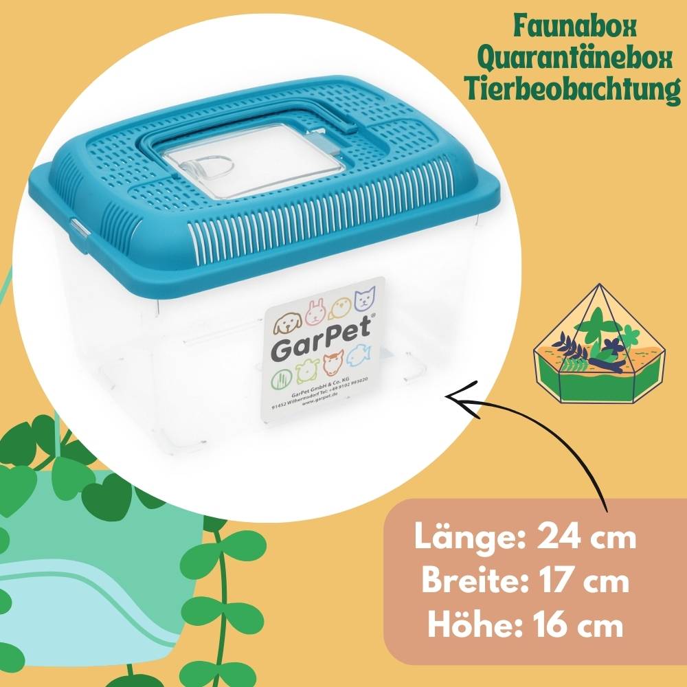 2x Faunabox M Faunarium Transport Quarantäne Box Tierbeobachtung Urzeitkrebse Triops Heimchen Spinnen Insekten Box Kunststoff