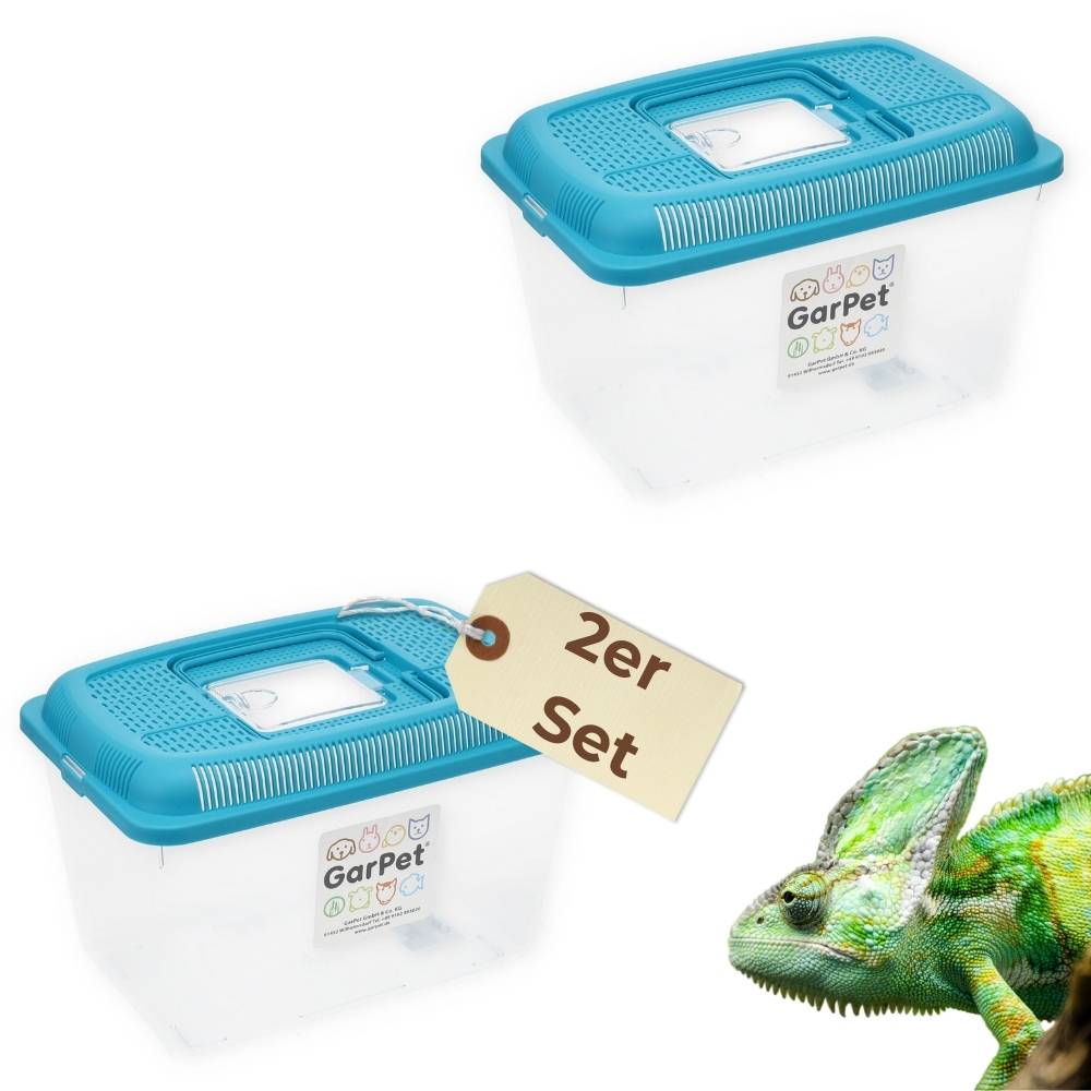 2x Faunabox L Faunarium Transport Quarantäne Box Tierbeobachtung Urzeitkrebse Triops Heimchen Spinnen Insekten Box Kunststoff