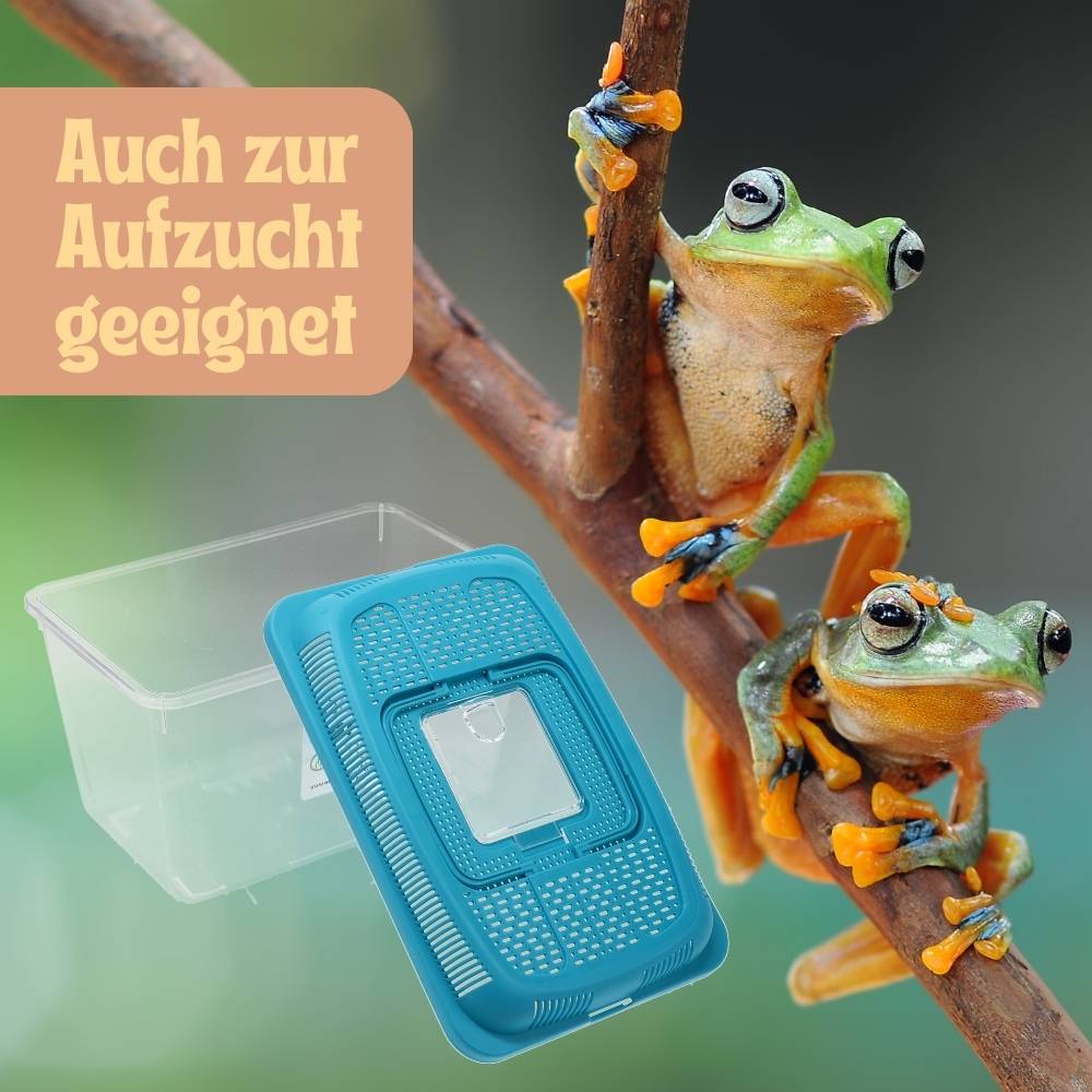 2x Faunabox L Faunarium Transport Quarantäne Box Tierbeobachtung Urzeitkrebse Triops Heimchen Spinnen Insekten Box Kunststoff