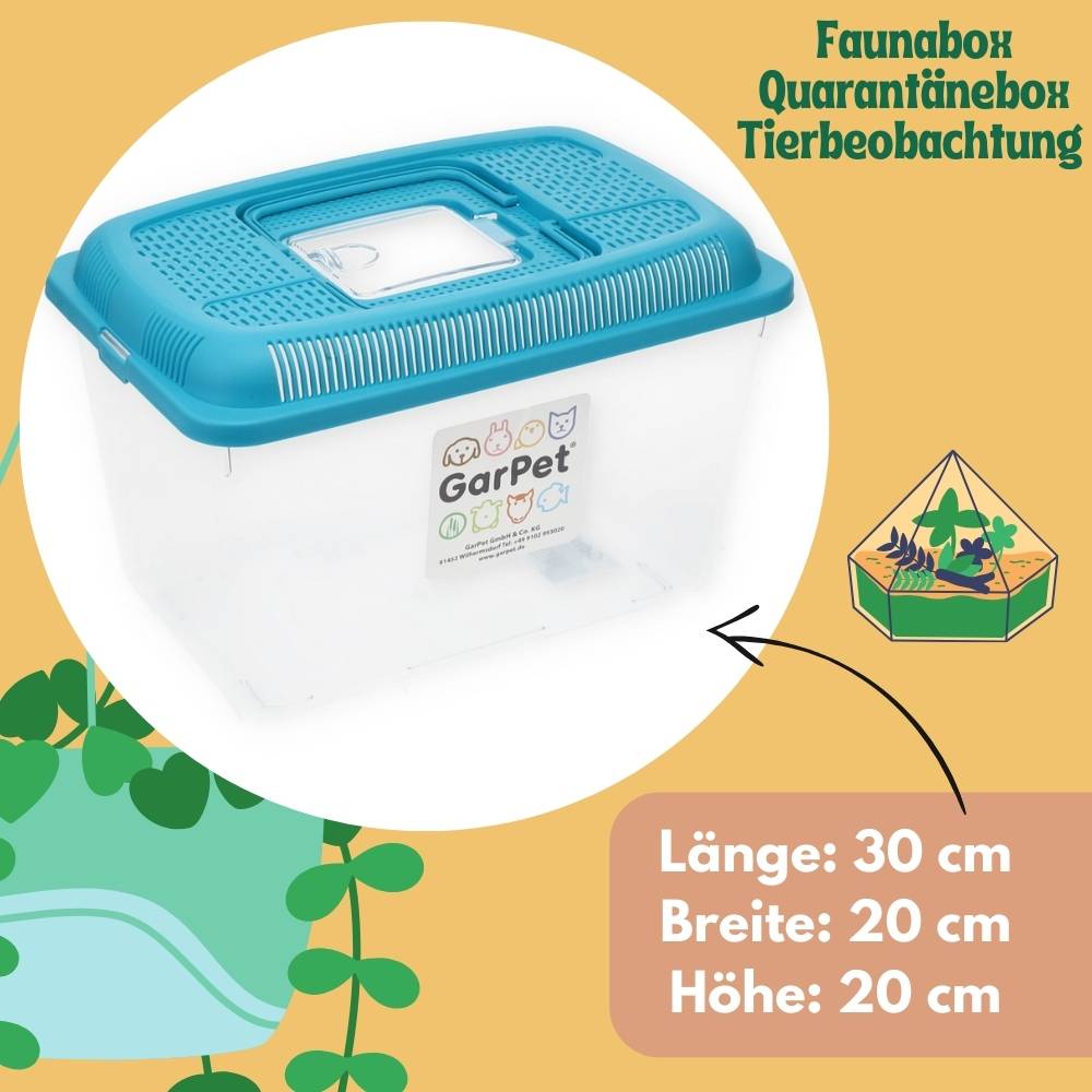 2x Faunabox L Faunarium Transport Quarantäne Box Tierbeobachtung Urzeitkrebse Triops Heimchen Spinnen Insekten Box Kunststoff