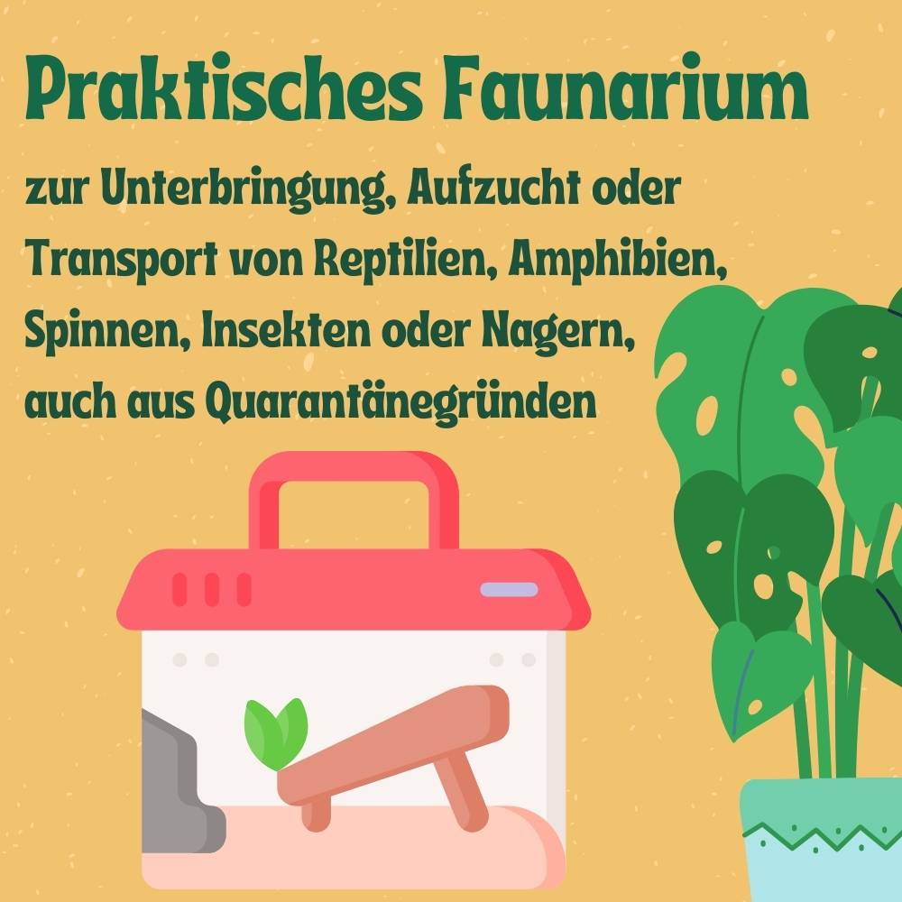 2x Faunabox L Faunarium Transport Quarantäne Box Tierbeobachtung Urzeitkrebse Triops Heimchen Spinnen Insekten Box Kunststoff