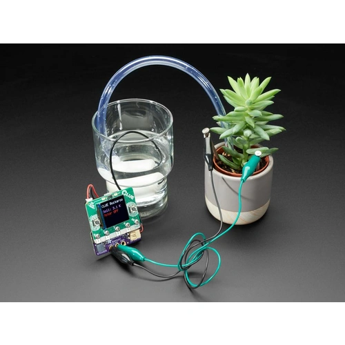 Adafruit Bonsai Buckaroo - micro:bit & CLUE Plant Care Helfer, für automatische Bewässerung Adafruit Bonsai Buckaroo - micro:bit & CLUE Plant Care Helfer, für automatische Bewässerung