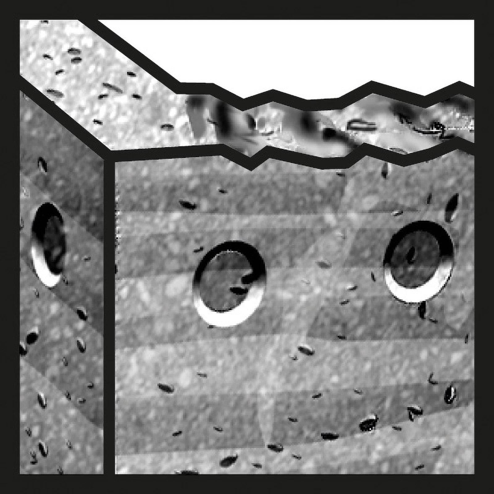 Ein schwarz-weißes abstraktes Bild mit einem geometrischen Muster, das kreisförmige Löcher und verstreute kleine Formen aufweist, die an Regentropfen erinnern, überlagert.