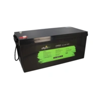 Offgridtec LifePo4 Akku 12/300 12,8V 304Ah 3840Wh mit 0% MwSt nach §12 Abs. 3 UstG Offgridtec LifePo4 Akku 12/300 12,8V 304Ah 3840Wh mit 0% MwSt nach §12 Abs. 3 UstG