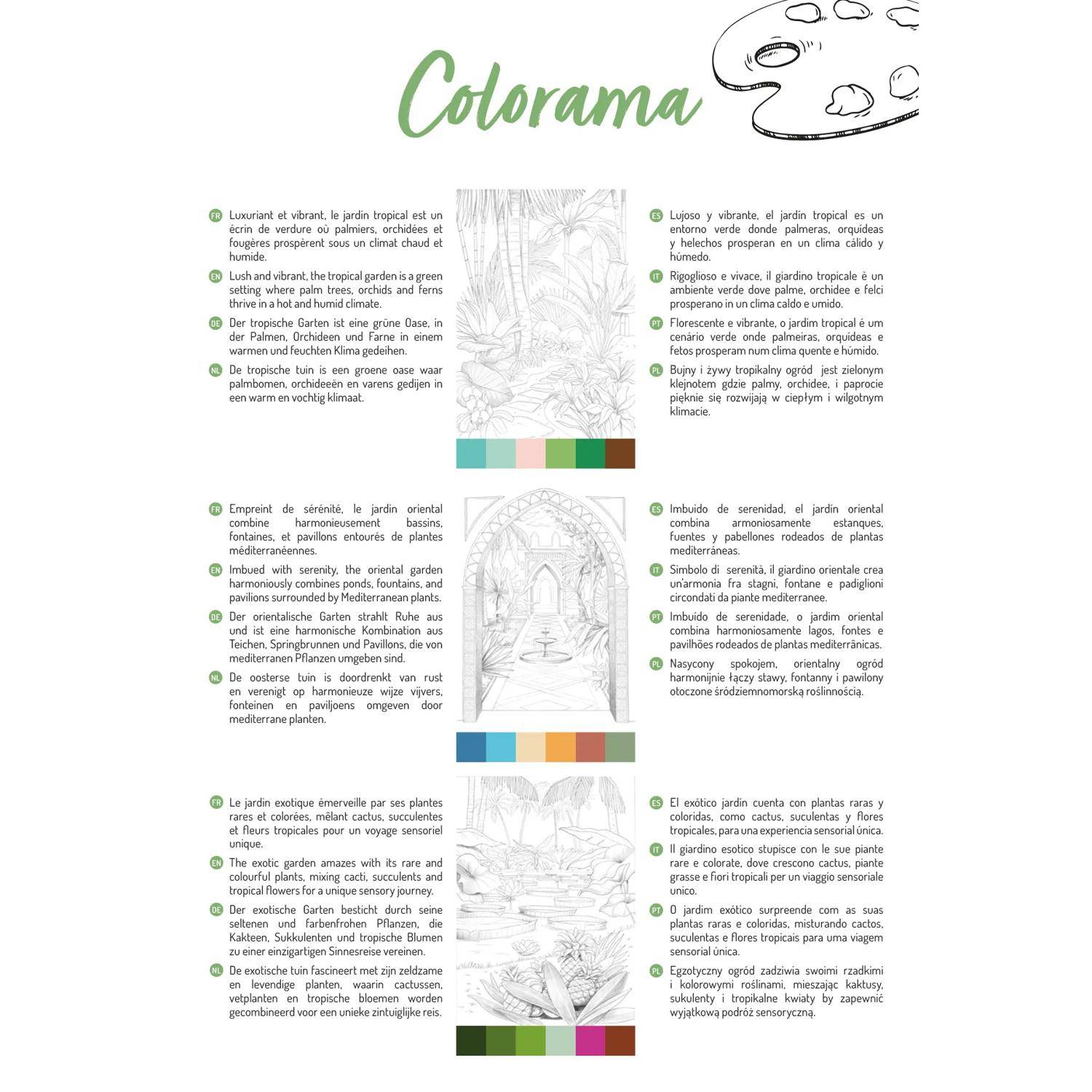 Clairefontaine 5x ODELIA, Ausmalblock 20 Bl A4 250g, Spiralbindung Gärten 95743C