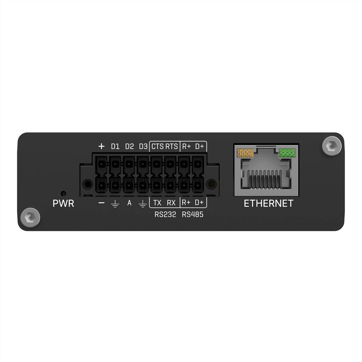Teltonika NTP001 - Netzwerk-Zeitserver - 100Mb