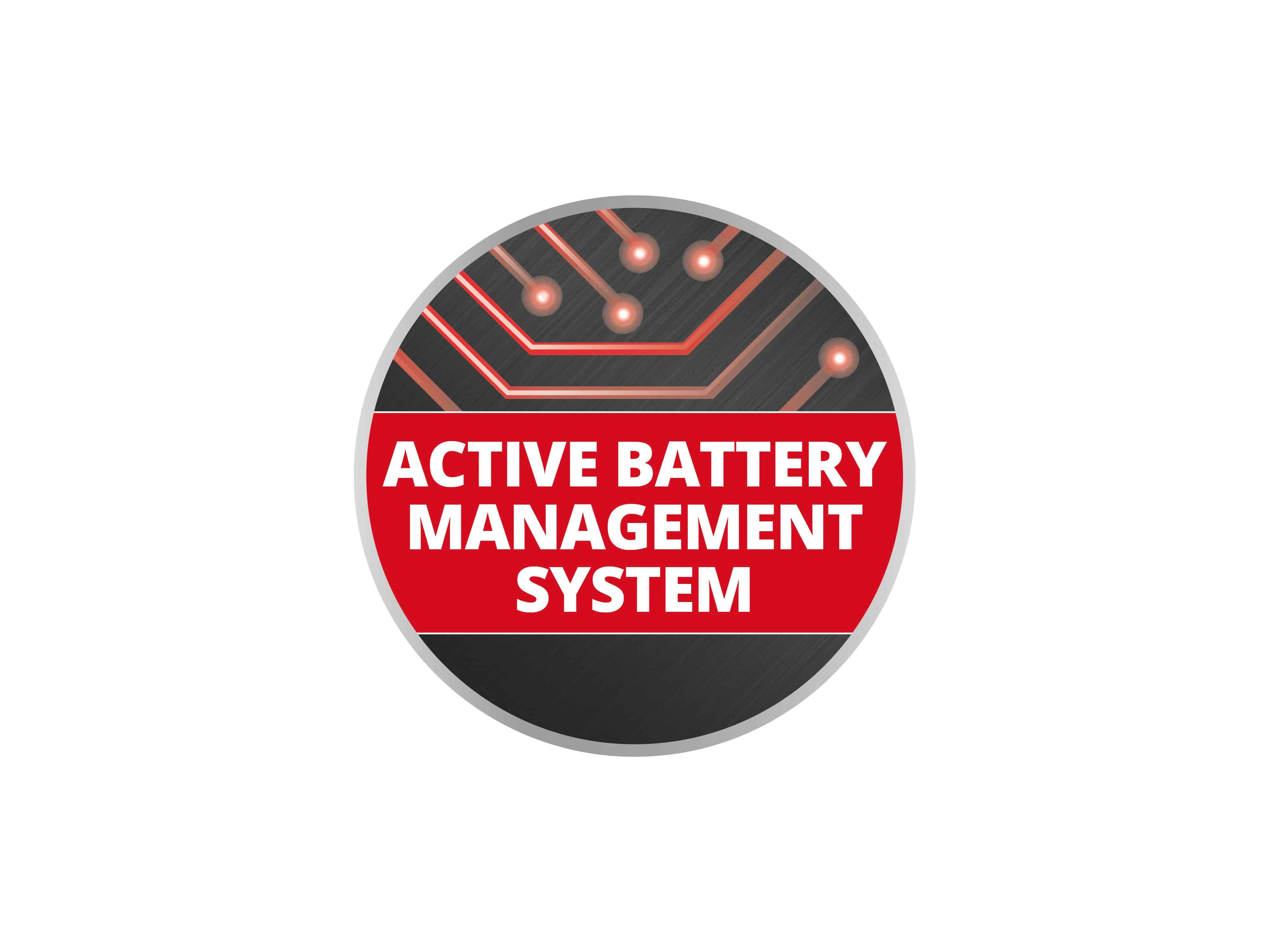 EINHELL Akku-Set PXC 4 Ah, 18 V, 2 Stück