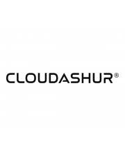 iStorage cloudAshur Remote Management Console Abonnement-Lizenz 1 Jahr Volumen 100-499 Lizenzen Win
