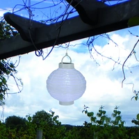 LED Solar Lampion Festival Hängeleuchte Balkon Terrasse D: 25cm Sensor weiß LED Solar Lampion Festival Hängeleuchte Balkon Terrasse D: 25cm Sensor weiß