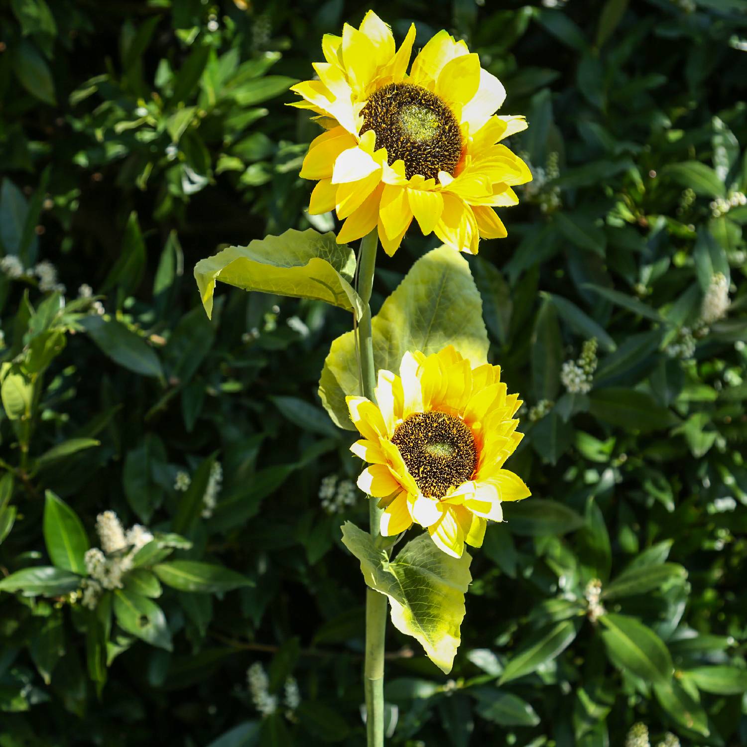 LED Solar Gartenstecker Sonnenblume Solarstab Blumen Garten Deko Beetstecker