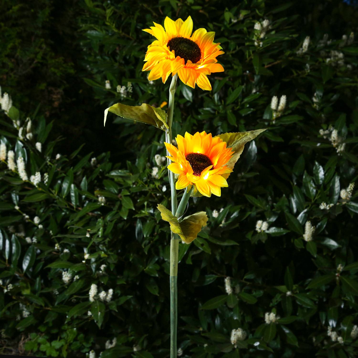 LED Solar Gartenstecker Sonnenblume Solarstab Blumen Garten Deko Beetstecker