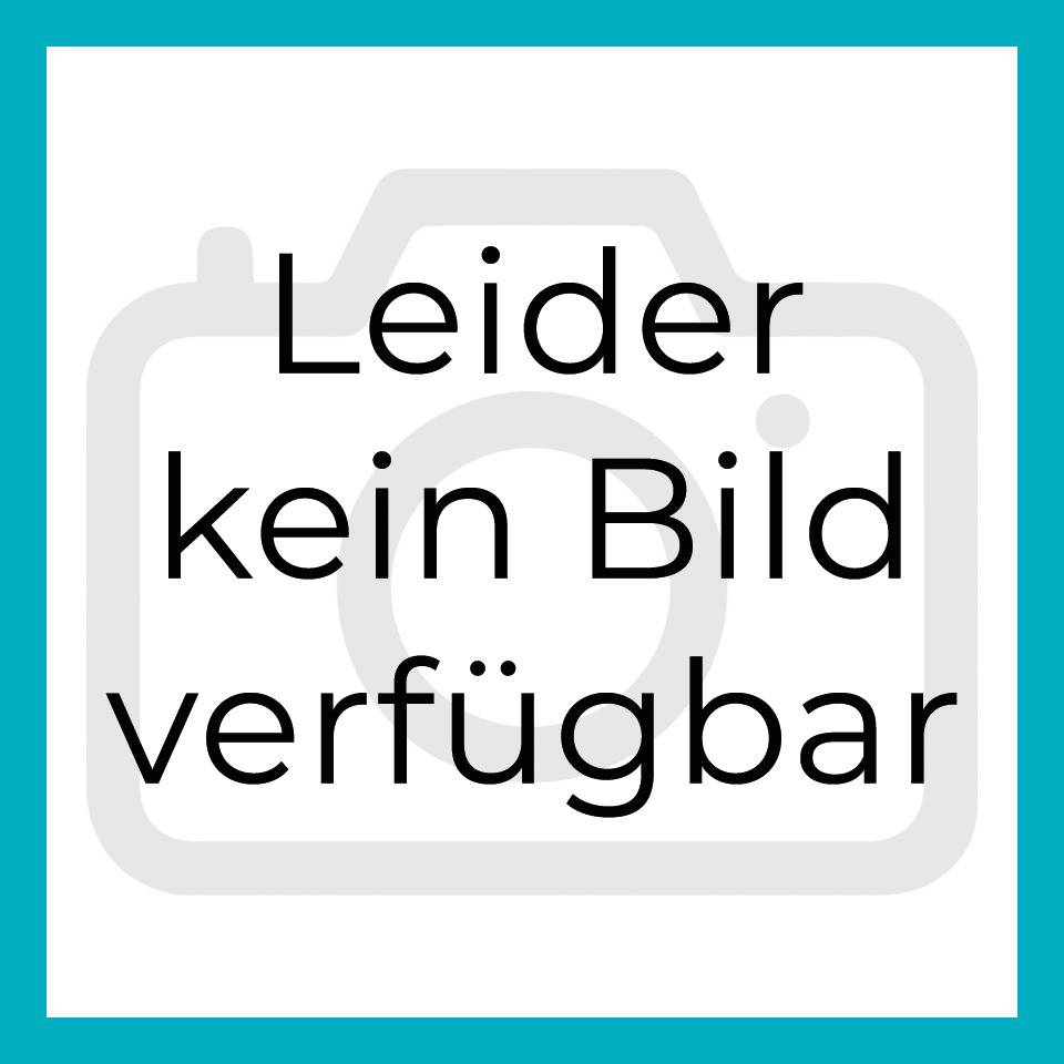 RR-Mopphalter Clino® Synchro PRO Hybrid,Clino®Connect Lock,ISO3,Edelstahl,40cm