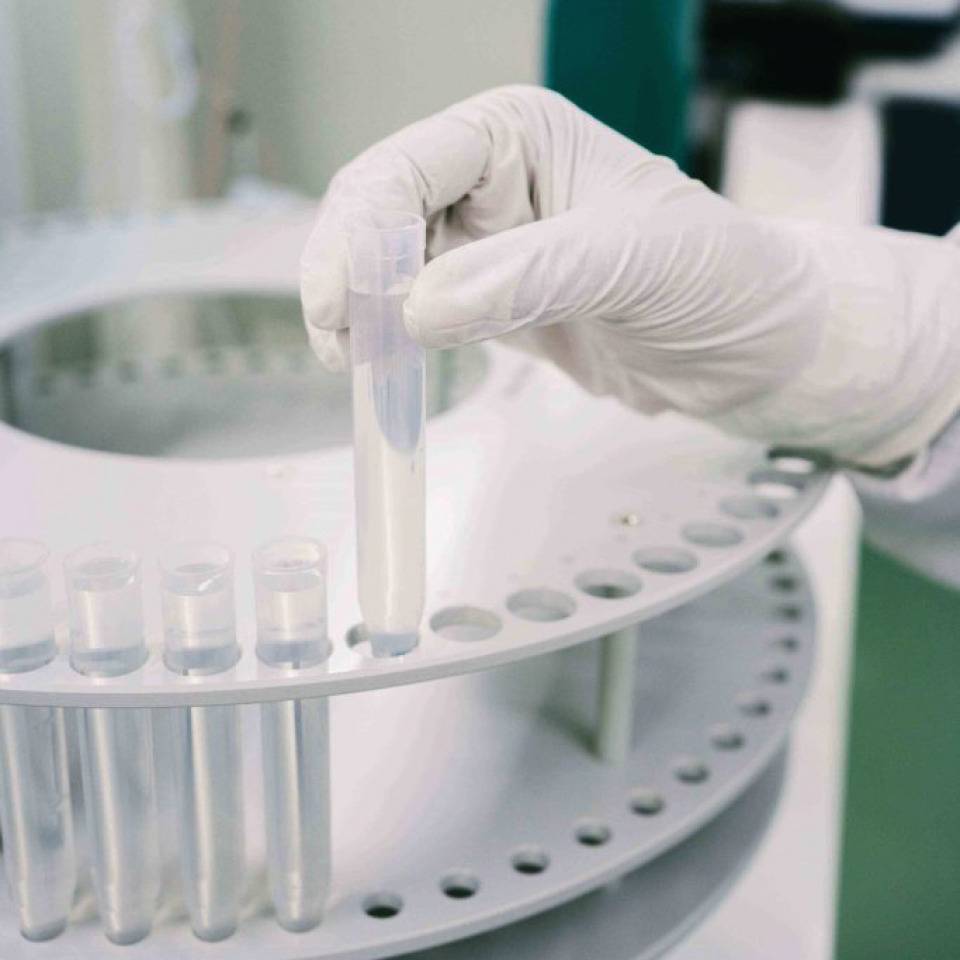 RR Einweg-Handschuh Otect N310,ISO 5, nicht steril,weiß,Größe XL,2x100 Stück/VE