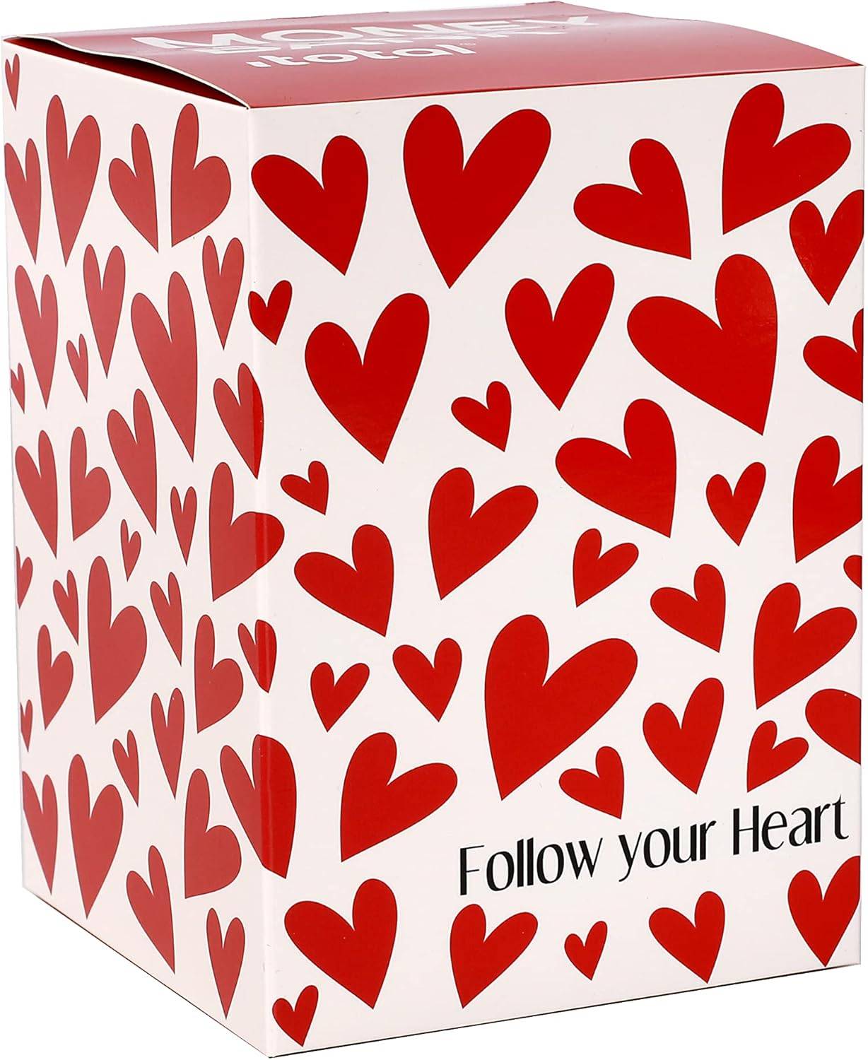 I-TOTAL® Spardose Vorhängeschloss Schlüssel Sparbüchse Metall Follow Your Heart