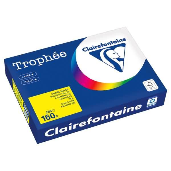 Kopierpapier 1029PC A4 160g kanariengelb 250 Blatt
