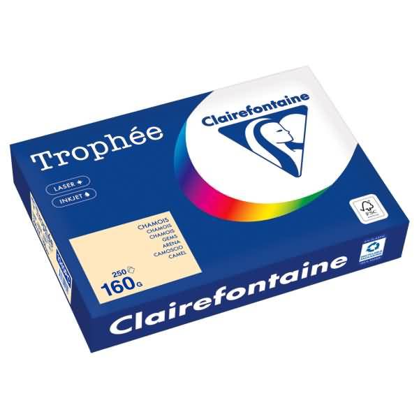 Kopierpapier 1040PC A4 160g chamois 250 Blatt