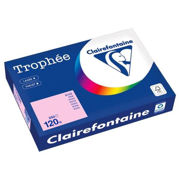 Kopierpapier 1210PC A4 120g rosa 250 Blatt
