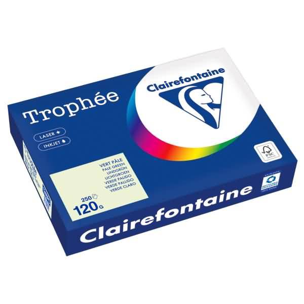 Kopierpapier 1246PC A4 120g lindgrün 250 Blatt