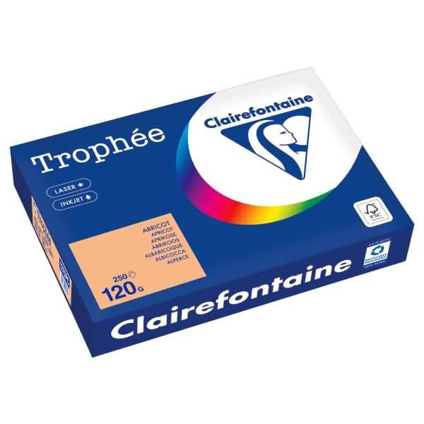 Kopierpapier 1275PC A4 120g aprikose 250 Blatt