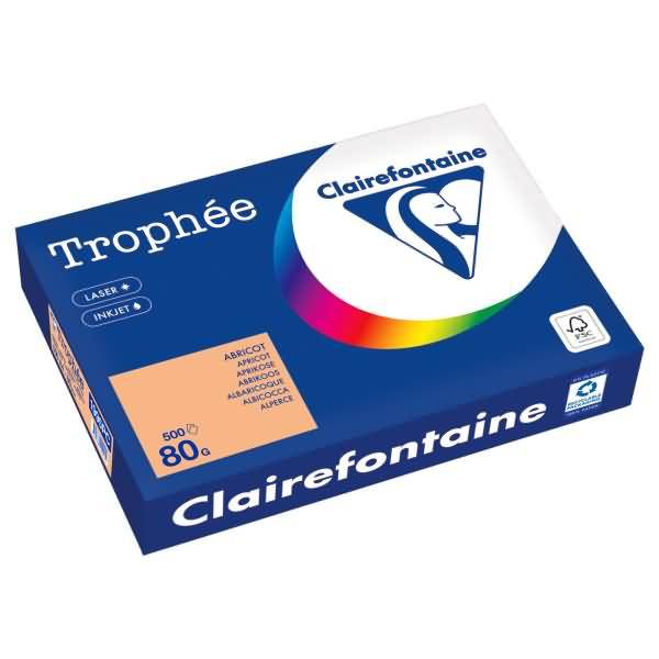 Kopierpapier 1995PC A4 80g aprikose 500 Blatt