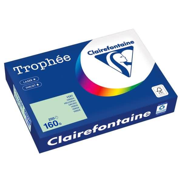 Kopierpapier 2635PC A4 160g hellgrün 250 Blatt
