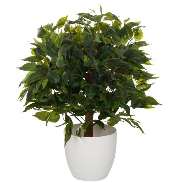 Kunstpflanze Ficus 871061