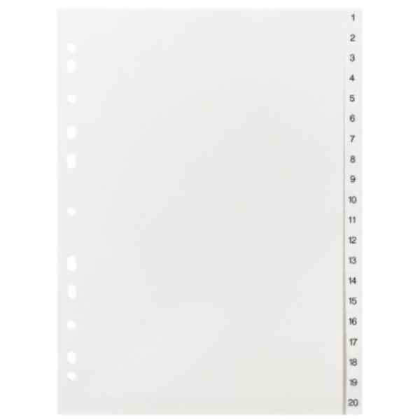 Register 219 A4 20tlg 1-20 weiß