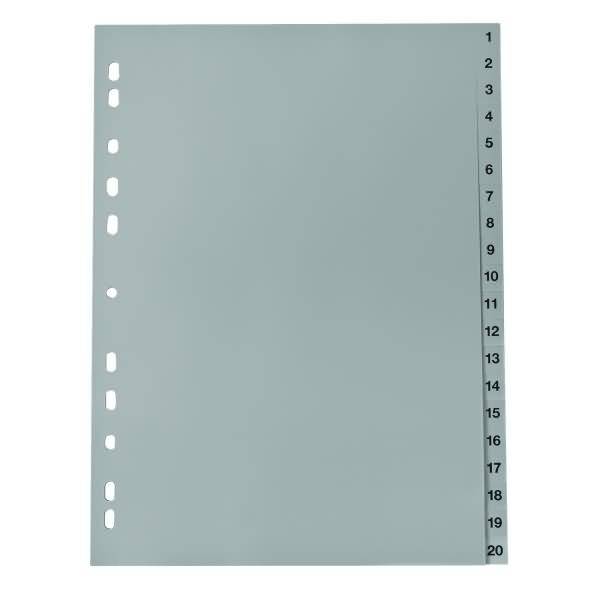 Register 220 A4 20tlg 1-20 grau