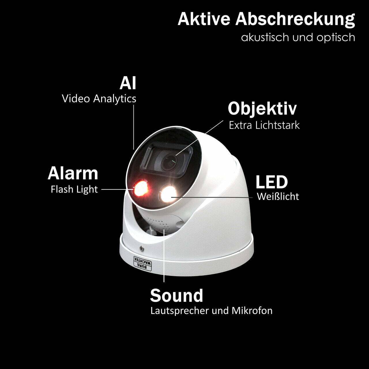 BWNC-442RECF-GC BURG GARD, 4MP IP RoyalNight++ Ball-Eye Kamera mit Weißlichtstrahler und IR-Strahler , integriertem Lau