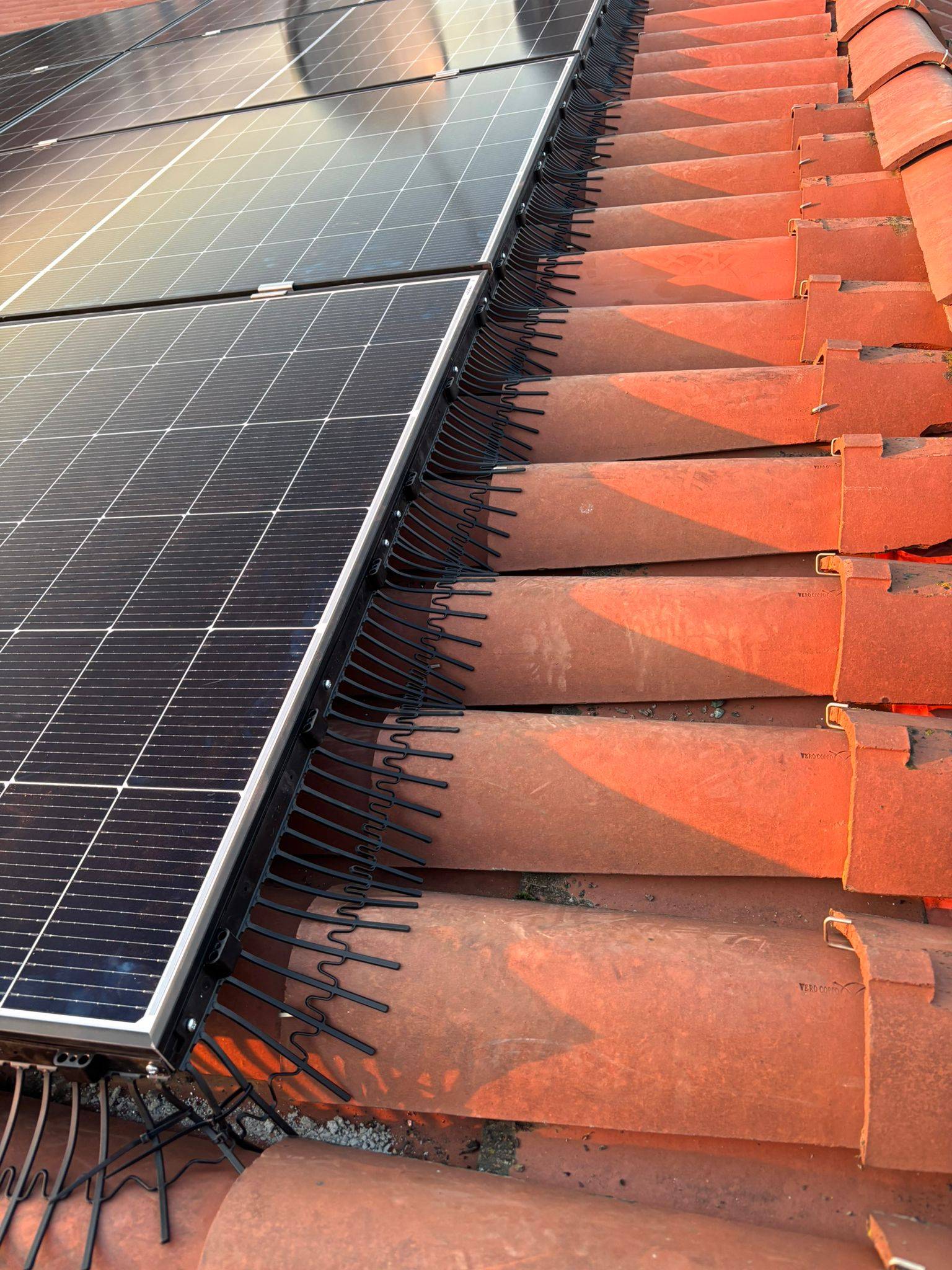 PV SolarSafe Taubenabwehr PV 22 m – 200 mm, Clips für 30 mm Rahmen