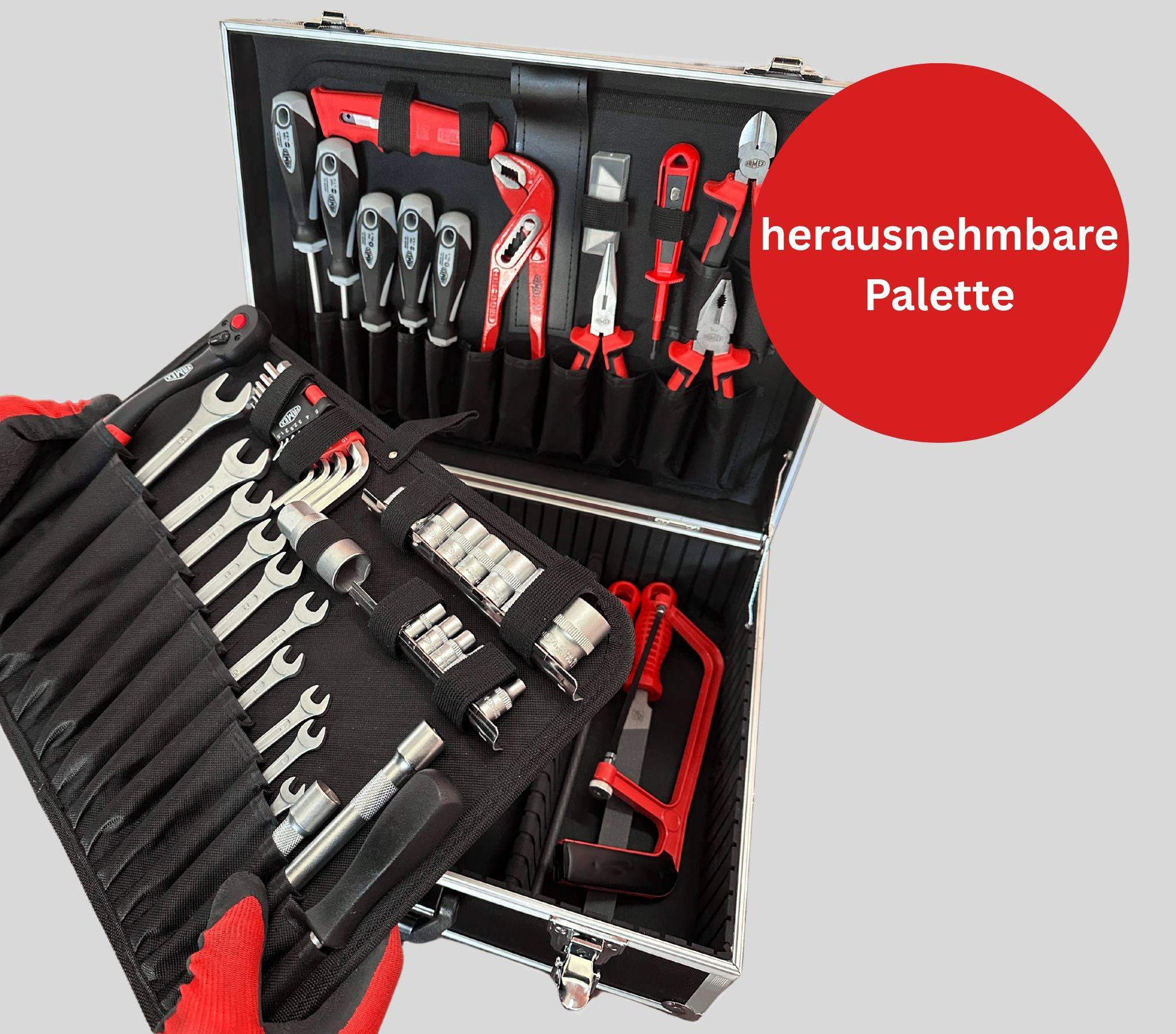 FAMEX 745-48 Alu Werkzeugkoffer gefüllt mit Werkzeug – Werkzeugkasten bestückt - 164-tlg