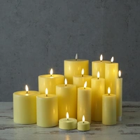 LED Stabkerzen Mia Deluxe Homeart Tafelkerzen Echtwachs 3D Flamme 15cm gelb 2Stk LED Stabkerzen Mia Deluxe Homeart Tafelkerzen Echtwachs 3D Flamme 15cm gelb 2Stk